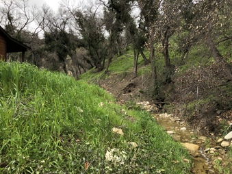 Enlarge photo 20