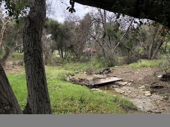 Enlarge photo 33