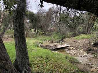 Enlarge photo 11