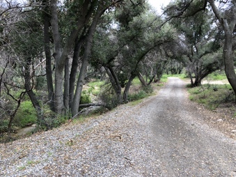 Enlarge photo 17