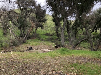 Enlarge photo 18