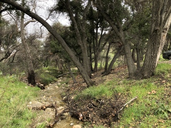 Enlarge photo 22