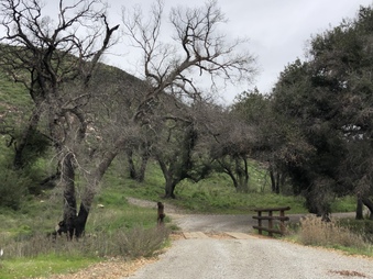 Enlarge photo 5