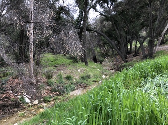 Enlarge photo 29