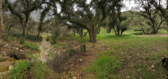 Enlarge photo 15