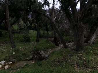 Enlarge photo 28