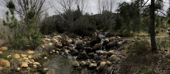 Enlarge photo 74