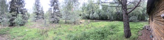 Enlarge photo 42