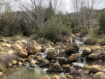 Enlarge photo 72