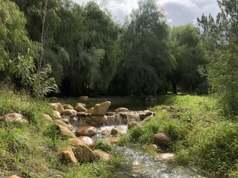 Enlarge photo 29