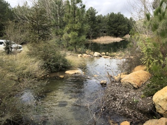 Enlarge photo 64