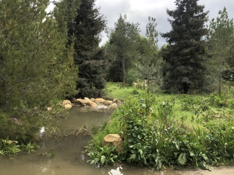Enlarge photo 57
