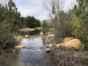 Enlarge photo 65