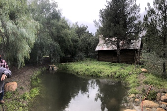 Enlarge photo 9