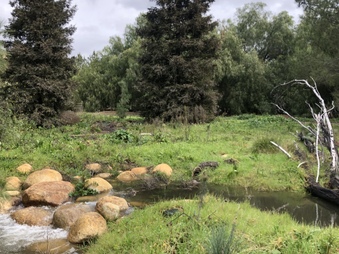 Enlarge photo 51
