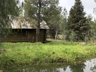 Enlarge photo 106