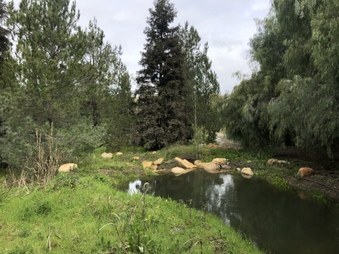 Enlarge photo 40