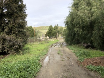 Enlarge photo 86