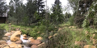 Enlarge photo 10