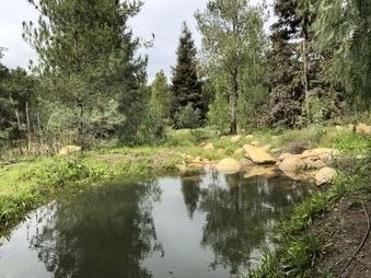 Enlarge photo 104