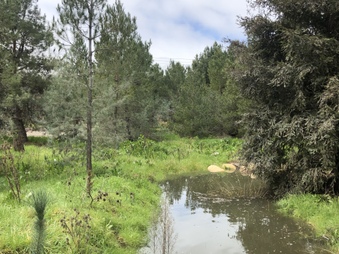 Enlarge photo 53