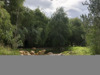 Enlarge photo 18