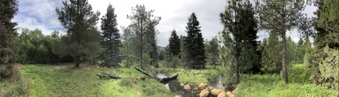 Enlarge photo 92