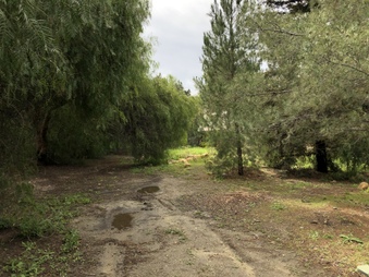 Enlarge photo 102