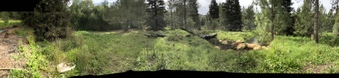 Enlarge photo 94