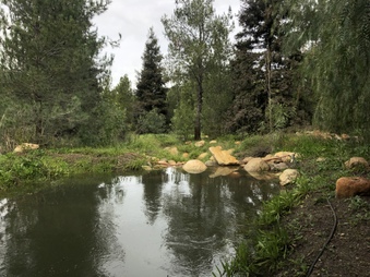 Pine Lake