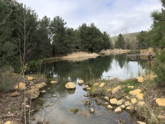 Enlarge photo 82
