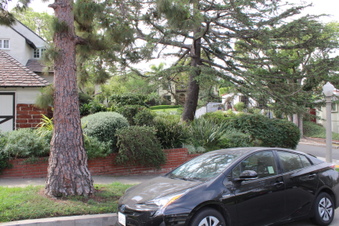 Enlarge photo 10