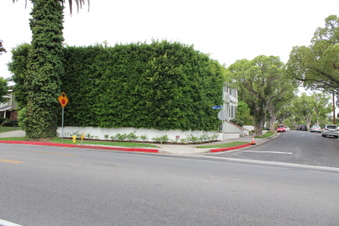 Enlarge photo 7