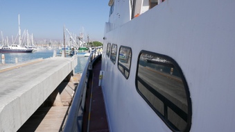 Enlarge photo 18