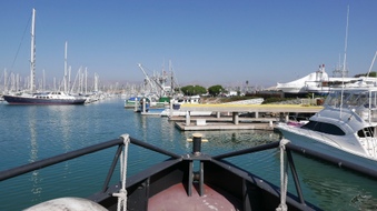 Enlarge photo 20