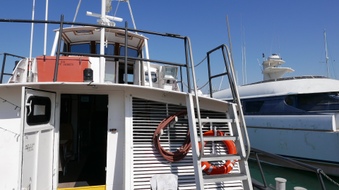 Enlarge photo 34
