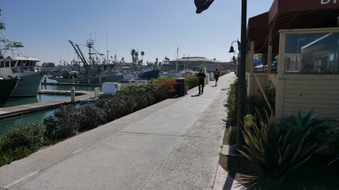 Enlarge photo 38