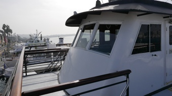 Enlarge photo 35