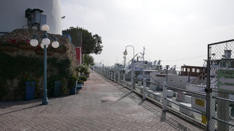 Enlarge photo 45