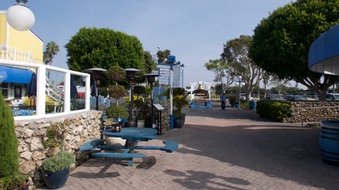 Enlarge photo 46
