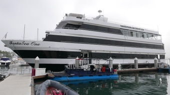 FantaSea One