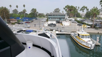 Enlarge photo 44
