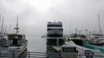 Enlarge photo 57