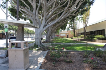 Enlarge photo 27