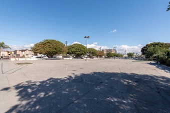 Enlarge photo 85