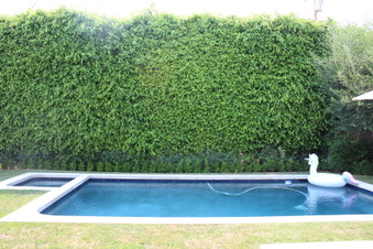 Enlarge photo 63