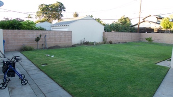 Enlarge photo 11