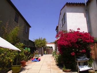 Enlarge photo 51