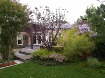 Enlarge photo 43