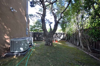 Enlarge photo 58